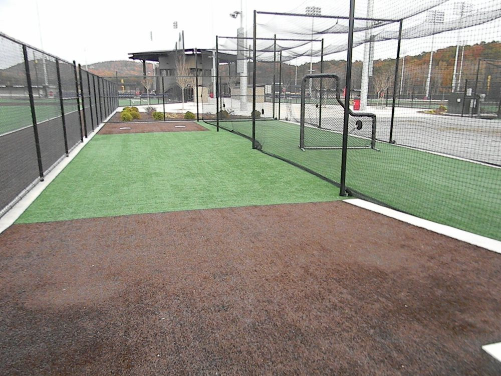 Austin artificial turf batting cage